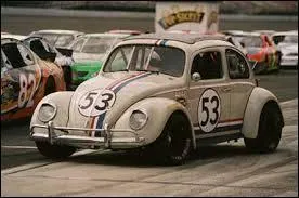 Comment s'appelle cette Volkswagen ?