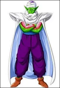 Combien y a-t-il de formes de Piccolo ?