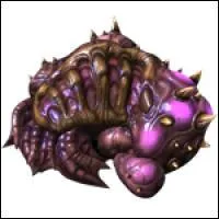 Que voit-on à l'image ?