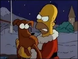 Homer et Bart vont à une course de lévriers, le propriétaire du chien arrivé en dernier l'abandonna, Homer et Bart décida d'adopter ce chien. Dans quel épisode pouvez-vous voir cette scène ?