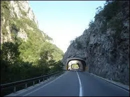 Parmi ces langues, laquelle est la langue officielle en Serbie ?