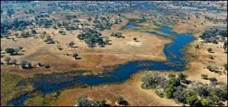 Quelle est la devise nationale du Botswana ?