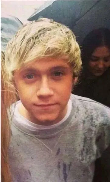 Quel jour est né Niall ?