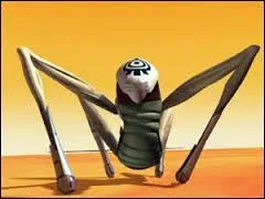 Les tarentules sont...