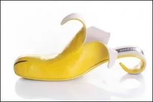 Quelles sont ces chaussures ?