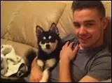 Comment s'appelle le chien de Liam ?