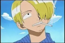 Qui est Sanji ?