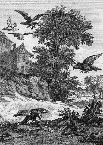 Avec quoi vont les pigeons dans une fable de La Fontaine ?