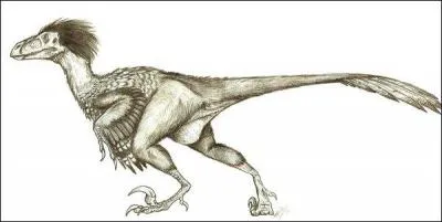 Quel est le plus long de ces dinosaures ?