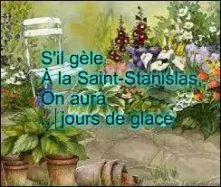 S'il gèle le jour de la Saint-Stanislas, combien de jours de glace prévoit-on ?