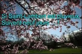 Si le jour de la Saint-Lambert est pluvieux, comment seront les neuf jours qui suivent celui-ci ?