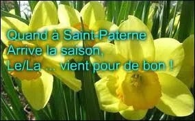 Quand le printemps arrive le jour de la Saint-Paterne, comment le temps devrait-il être toute l'année qui suit ?