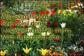 Le jour de la Saint-Isidore, s'il y a du soleil, comment les pommiers seront-ils ?