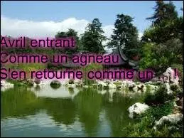 Complétez ce proverbe : "Avril entrant comme un agneau s'en retourne comme un ...".