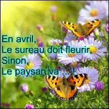 Si le sureau ne fleurit pas au cours du mois d'avril, comment le paysan sera-t-il ?