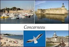 Vous allez recevoir une carte postale de Concarneau. Ville fortifiée par Vauban et connue pour sa ville close, elle se situe dans le département ...