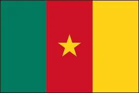 A quel pays correspond ce drapeau ?