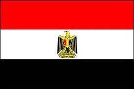 A quel pays correspond ce drapeau ?