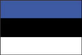 A quel pays correspond ce drapeau ?