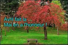 Complétez ce dicton : "Avril fait la ... et mai en a l'honneur".