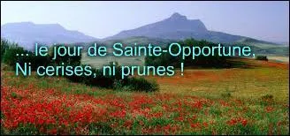 Quel fruit est-il impossible de récolter s'il pleut le jour de la Sainte-Opportune ?