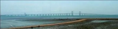 Le pont Haiwan construit en 2010 dans la baie de Jiazhou est le plus long pont maritime du monde : 41, 85 kilom&egrave;tres. Il est situ&eacute; en :