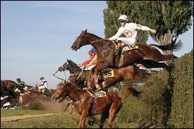 Hugues Aufray a chanté ''Stewball'' un pauvre canasson qui meurt lors d'une course hippique... De quelle couleur était le cheval ?