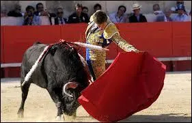 Je sais ! Vous allez me dire que ce n'est pas un sport et pourtant ''La Corrida'' de Francis Cabrel est bien sur ce quiz ! De quelle région est originaire le taureau dans la chanson ?