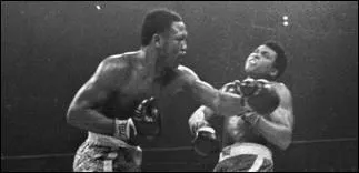 Qui a chanté ''Battling Joe'' ?