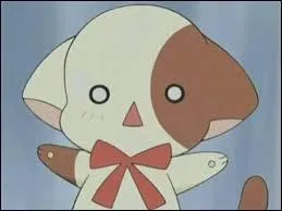 Où pouvez-vous voir ce chat ?