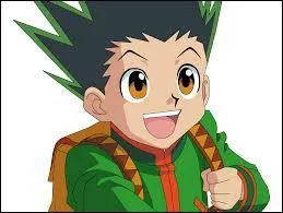 Ce jeune garçon s'appelle Gon, à quel manga appartient-il ?