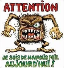 J'ai remarqué quand je vous demande de me mettre un smiley triste, vous n'obéissez ... .