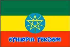 "Ethiopia Tekdem". Quel pays est le seul à posséder cette devise ?
