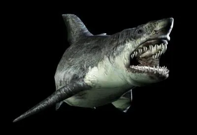 Quel est ce monstre ?