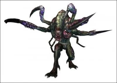 Quel est ce monstre ?