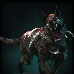 Et celui l&agrave; ?