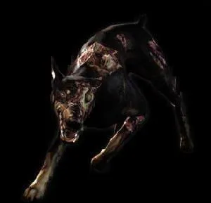 Et celui-l&agrave; ?