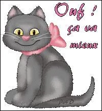 Et si vous ne connaissiez aucune réponse de ce quiz, et qu'au final, vous vous en sortez bien, qu'allez-vous dire ?