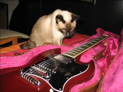 De qui sont les paroles" Reviens me dire, reviens me dire, dis-moi un peu si elle porte toujours, dans les cheveux, ses essences d'amour" ?