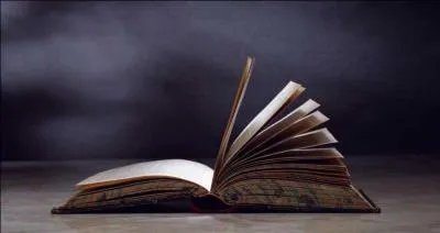 Qui a écrit le livre "Pars vite et reviens tard" ?