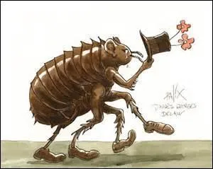 Petite bestiole assoiffée de sang ou de sève ; elle est grossie sur cette illustration. Elle doit vous faire penser au bois de chien, de quoi s'agit-il ?