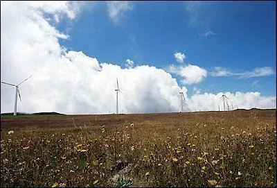 Les promoteurs touristiques privil&eacute;gient...