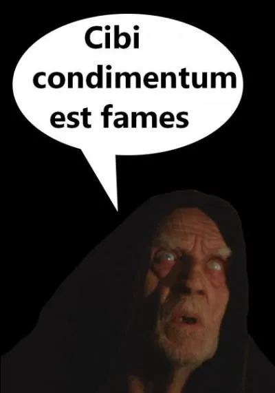 Quelle est la bonne traduction ?