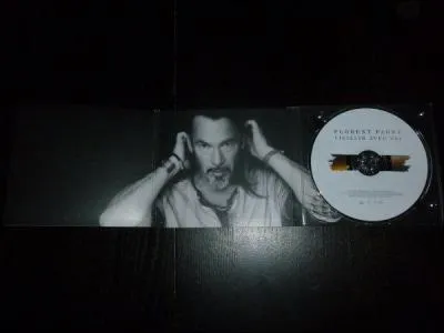 Combien cet album comporte-t-il de chansons ?