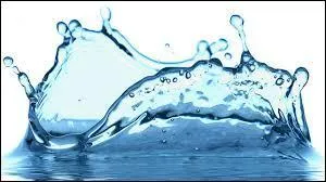 Avez-vous soif ? Si oui, je peux vous proposer de l'... .