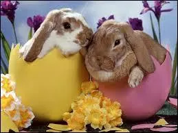 Au fait, joyeuses Pâques ... gourmets.