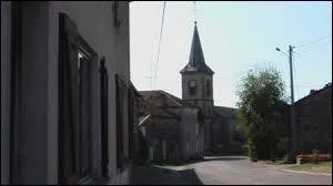 Pour finir, je vous emmène dans les Vosges, à Vioménil. Nous serons alors en région ...