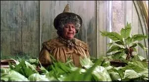 Dans les livres, mon nom n'est prononcé qu'à partir du sixième livre. Pour protéger Poudlard, j'ai placé des filets du diable autour des remparts grâce à l'aide de Neville Londubat. Mon prédécesseur s'appelle Herbert Beery. Quelle est ma date de naissance ?