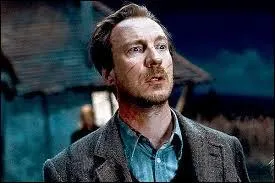 Sur Potterville, les gens m'appellent Romulus. J'ai été professeur de défense contre les forces du mal. Quand Harry s'est évanoui face à un détraqueur, je lui ai donné du chocolat. Ma nature de loup-garou est dénoncée par le professeur Rogue. Quel est le bois de ma baguette ?