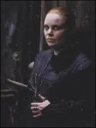 Alecto Carrow est un des professeurs méchants. Nous la voyons pour la première fois dans le 6ème tome. Quelle matière enseigne-t-elle ?